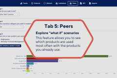 Tab 5: Peers / Explore what if scenarios